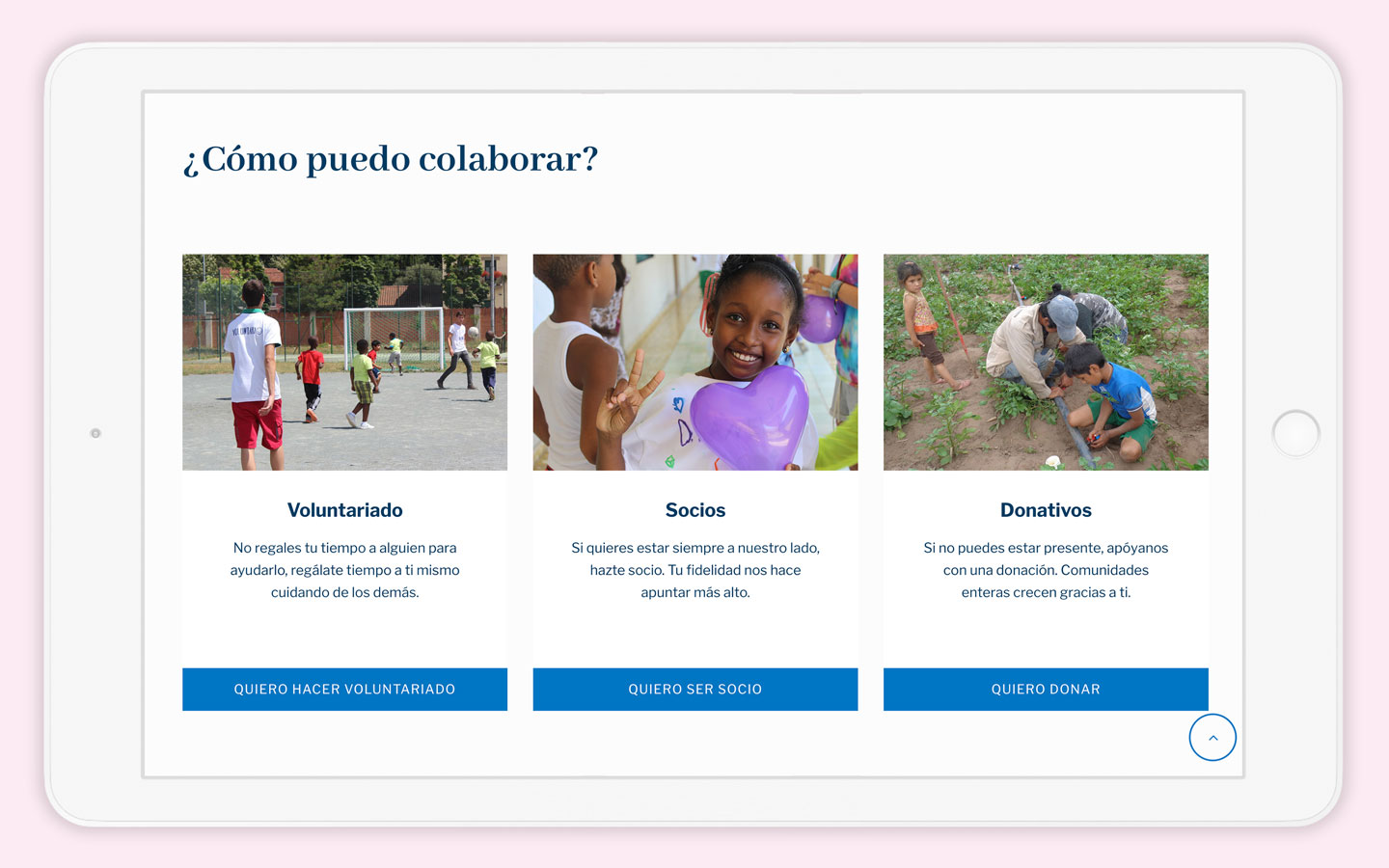 calmo-website-fabre-web-donar