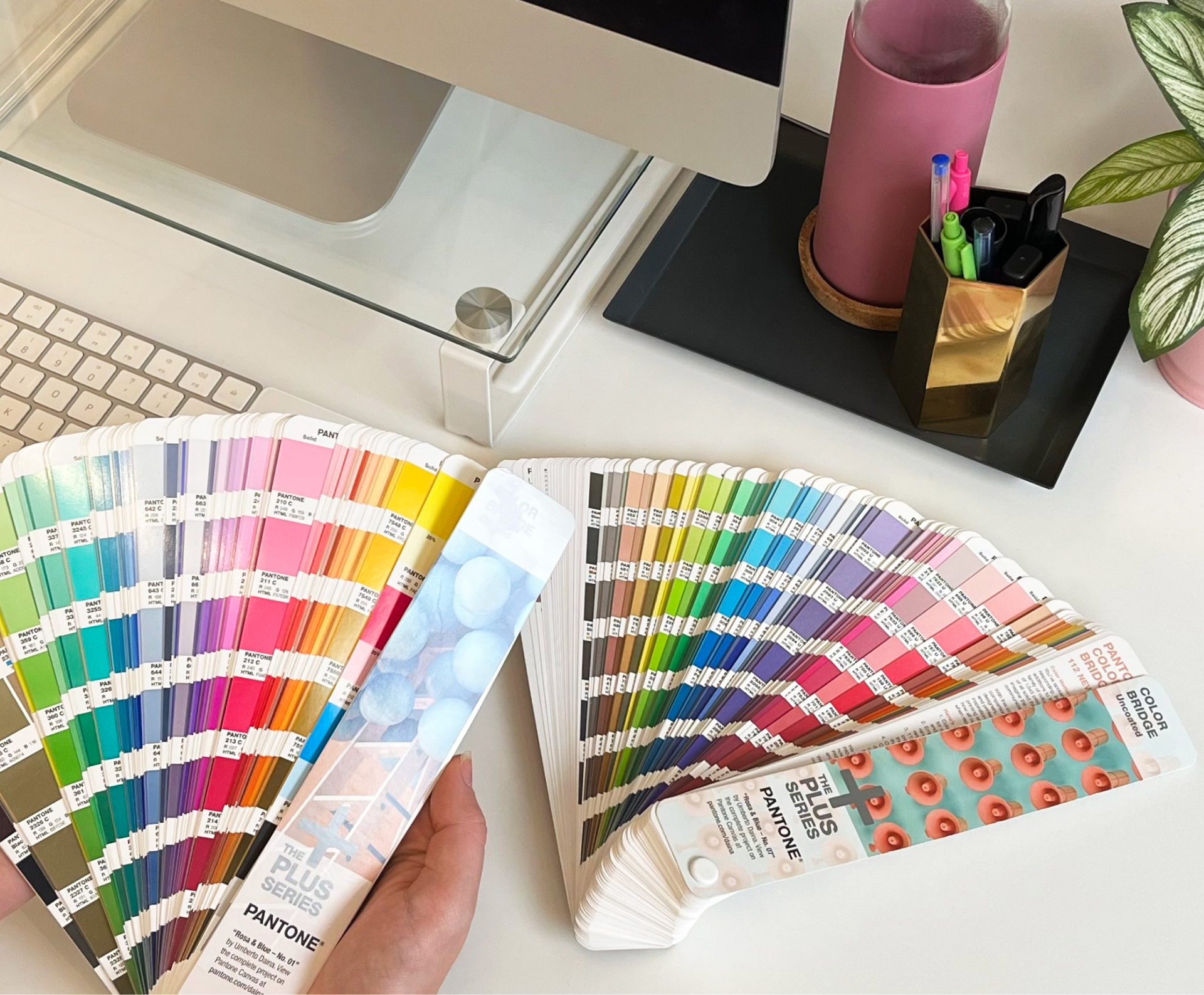 Descubre cómo el uso de una paleta de colores adecuada puede impactar en la percepción visual de tus diseños.