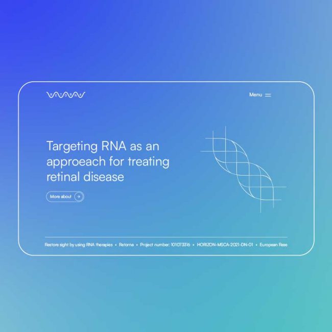 Proyecto de la web de RETORNA