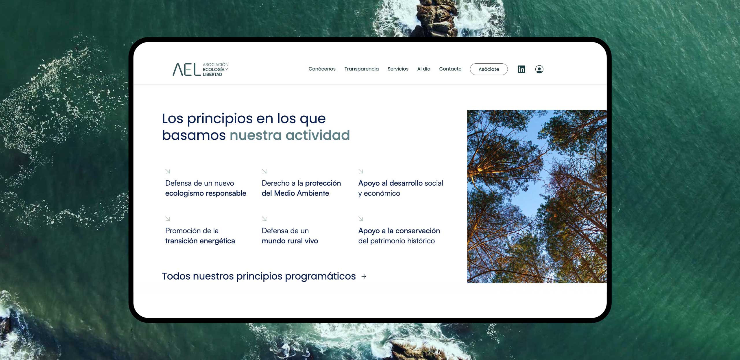 Web de Ecología y Libertad vista desde laptop